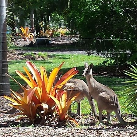 Bluegrass Bnb Bed & Breakfast Bundaberg Luaran gambar