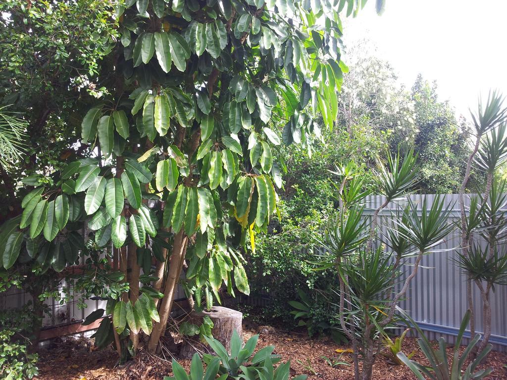 Bluegrass Bnb Bundaberg Luaran gambar
